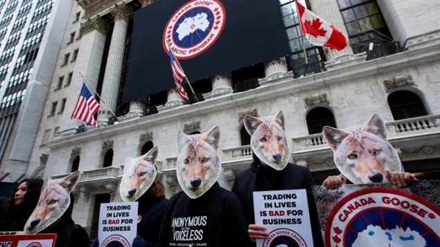 Des manifestants qui militent en faveur du traitement éthique des animaux portent des masques de coyote alors qu’ils protestent contre la firme Canada Goose devant la Bourse de New York jeudi. (Mark Lennihan / Associated Press)