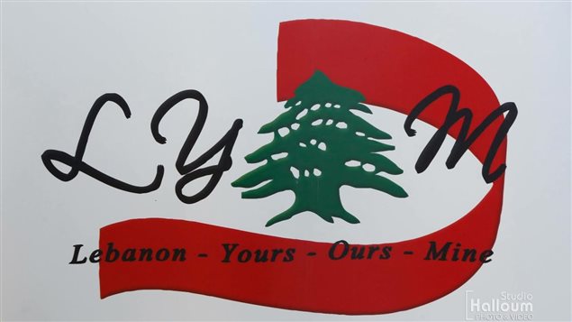 شعار المؤسسة