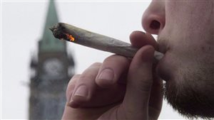 La possession de cannabis dans l’espace public serait cependant restreinte à une trentaine de grammes.