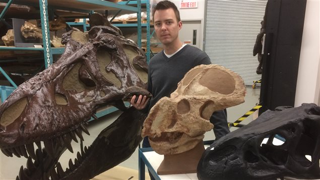 Paleontologist Jordan Mallon found there is not enough evidence to prove one can determine a dinosaur’s sex based on the size and shape of bones. 