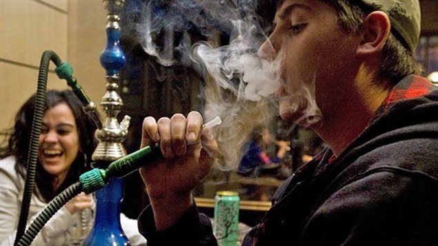 زبائن يدخنون النارجيلة