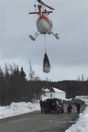 Phil Pomeroy snapped a picture of the polar bear carried away by helicopter and provided it to CBC News.
