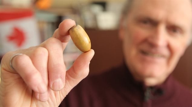  Monty McDonald,72, used to work on Miller’s Vimy Oak Farm, and has instigated a project to create 1,000s of oaks to send back to Vimy. That’s on hold, but now many of the oaks will be distributed across Canada to preserve the Miller and Vimy legacy.