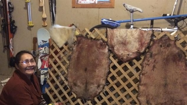 被车撞死的动物身上的皮毛会变成漂亮的手工制品