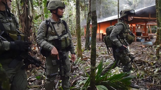 Los efectivos sostienen que tras su paso, los campesinos vuelven a plantar.