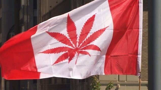 Canadá propone legalizar la marihuana
