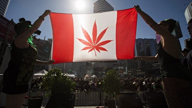 La légalisation du cannabis au Canada 