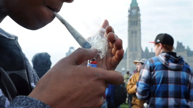 明年国庆节前在加拿大抽大麻就合法了