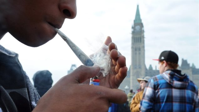年轻人想尝试大麻、但又怕背上犯罪记录
