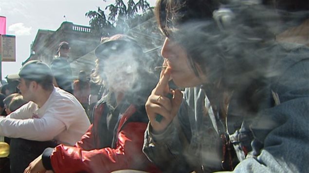 政府希望今后用开罚单手段对付未成年人吸食大麻