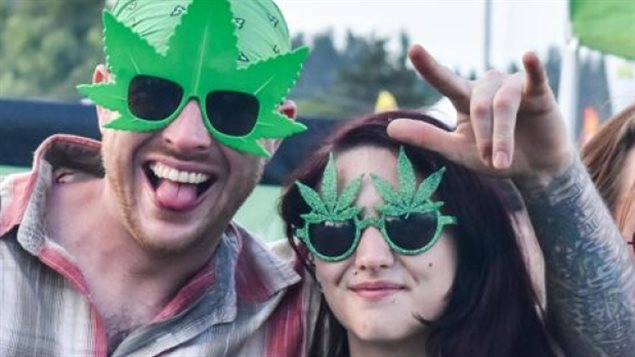 大麻已经成了音乐狂欢节的标配