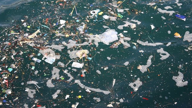 Contaminación de las aguas marinas con deshechos plásticos.
