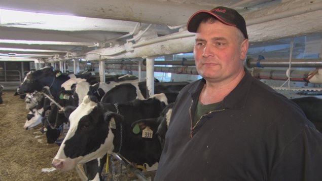 几天前特朗普开始把加拿大的奶牛业作为攻击目标