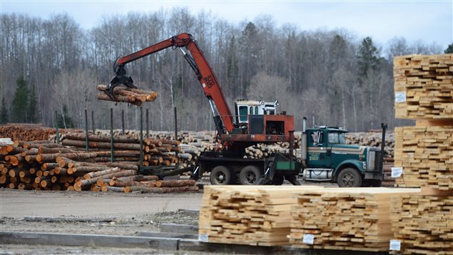 Logs are unloaded at Murray Brothers Lumber Company woodlot in Madawaska, Ontario on Tuesday, April 25, 2017. 