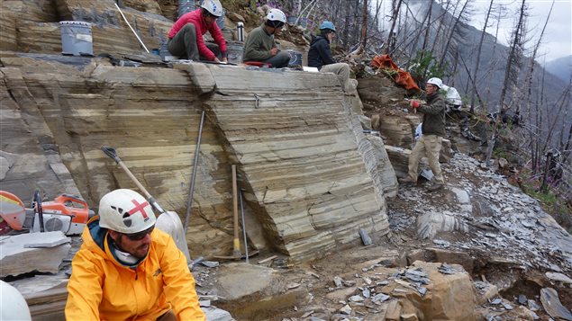 Canada’s fossil-rich Burgess Shale was designated a UNESCO World Heritage Site in 1980.