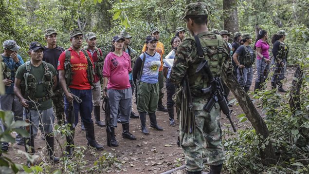 Guerrilleros de las FARC en su proceso de desmovilización en luna de las zonas de transición en la Guajira.