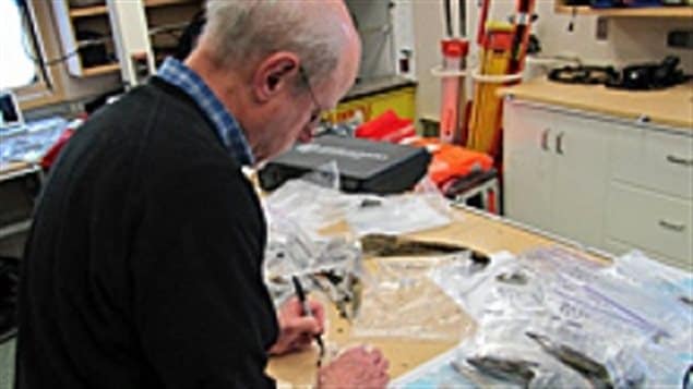 Doug Stenton catalogues artifacts found on King William Island in the lab on the Canadian Coast Guard icebreaker Sir Wilfrid Laurier in 2013. 