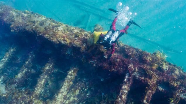 An underwater archaeologist from Parks Canada clears kelp from the wreck of one of the ships from Sir John Franklin’s doomed 1840s expedition to traverse the Northwest Passage. Both rescuers and archaeologists have sought the wrecks of his two ships, Erebus and Terror, for nearly 170 years.