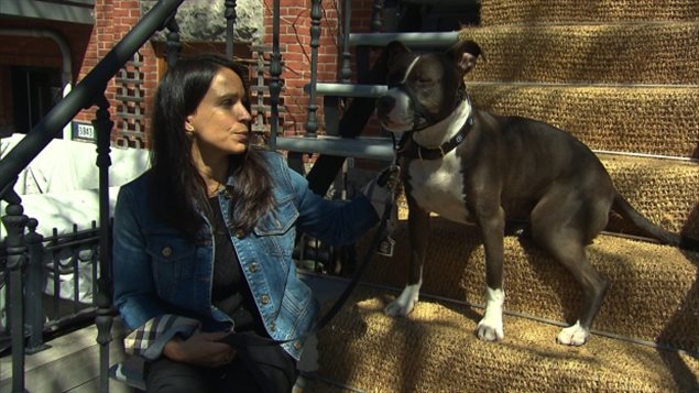 Dog owner Tanya Das Neves says Quebec should have put more funding into enforcing current animal regulations instead of creating new ones. Certain breeds could be banned entirely in the province while other large dogs would face new restrictions under the proposed legislation.