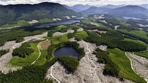 Clearcut forestry practices are one example of habitat fragmentation making it difficult to impossible for ecosystems to migrate due to changing environemtal conditions.