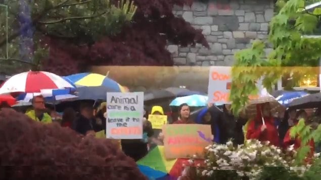 Other protesters outside the Parks board meeting, this one however in favour of the aquarium cetacean programme.