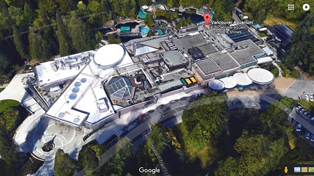 The vancouver Aquarium complex