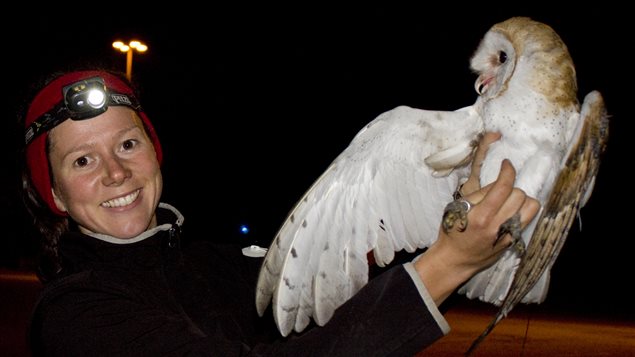 Sofi Hindmarch was able to observe the hunting habits of barn owls near Vancouver.