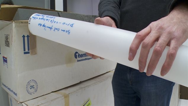 The ice core samples, collected on Ellesmere Island in Nunavut, are now stored at the University of Alberta in Edmonton. 