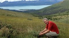 Professor David Hik, conducting research in the Yukon, Kluane Lake.