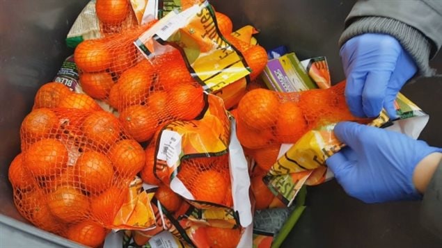 Bags of still good oranges found in a Toronto store garbage bin during a CBC investigation into grocery store food waste.