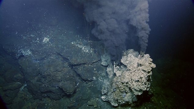 The fresh deposits of the vent stand in start contrast to the dark seafloor around them.