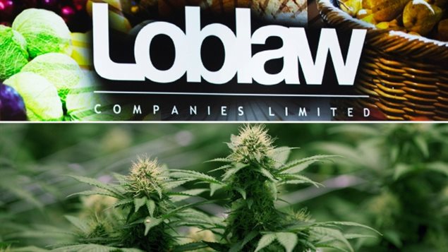 Loblaw公司3月份开始给员工报销药用大麻开支