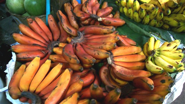 Not all bananas are created equal. Red bananas at a market in Guatemala