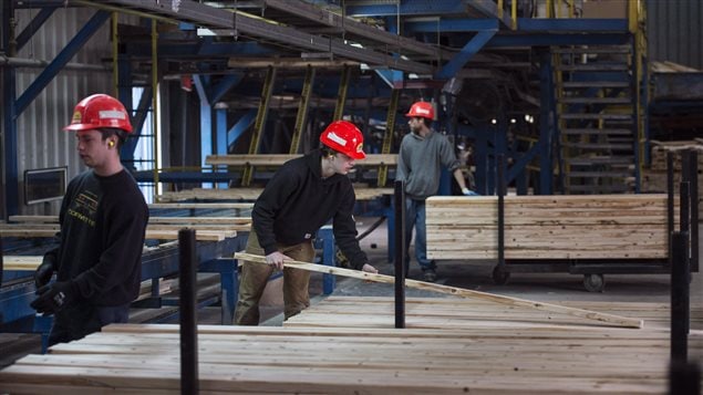 Jobs in the lumber industry had been expected to increase by about 1,000 but instead will decrease by 1,100.