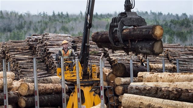 Canada’s wood product industry had been growing before the U.S. announced import duties would be imposed on softwood lumber.