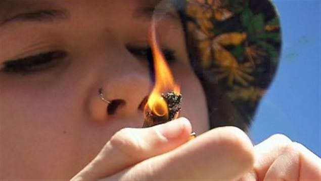 Los últimos sondeos hablan del temor de un sector de la población del que el consumo de marihuana se dispare gracias a la ley.