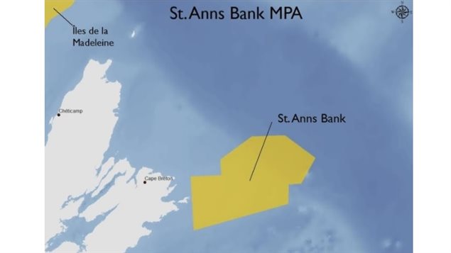 The marine protected area will cover St Anns Bank in the Atlanitic in an area off the coast of Cape Breton Island, Nova Scotia 