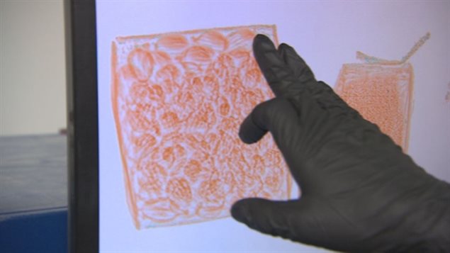 边检局用X光扫描机检查邮件是否藏有毒品