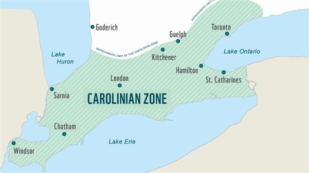 The Carolinian Zone is home to one-third of Canada’s at-risk plants and animals, and one quarter of the human population.
