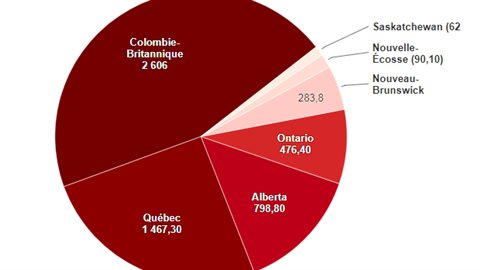 La majorité du bois d’œuvre canadien (90 %) est coupé dans les forêts publiques. Aux États-Unis, c’est le contraire, le bois d’oeuvre provient en grande partie de terres privées.