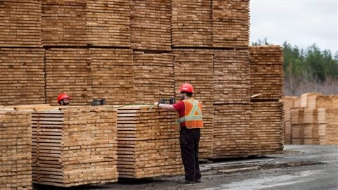 Les droits compensateurs visent à contrebalancer ce que les États-Unis considèrent comme des subventions illégales au Canada alors que les tarifs antidumping constituent une réplique à des prix de vente qui seraient inférieurs à ceux du marché. Photo : La Presse canadienne/Darren Calabrese