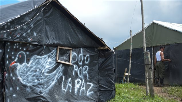 Un campo transitorio ocupado por los combatientes durante el desarme.