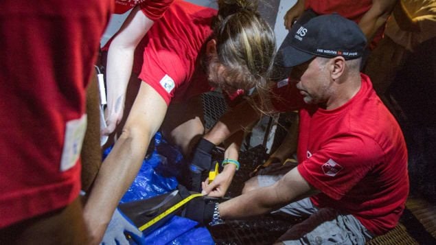 Michel Labrecque mesure un jeune requin au large de Clipperton pour déterminer son rythme de croissance. Photo : Radio-Canada/N2PIX