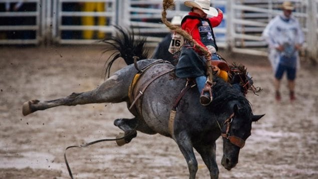 From the people that he’s met, including other rodeo athletes and the prize money he’s won, the Calgary Stampede has changed every aspect of Canadian rider Zeke Thurston’s life. The Calgary Stampede features one of the world’s biggest an d most important rodeo venues.
