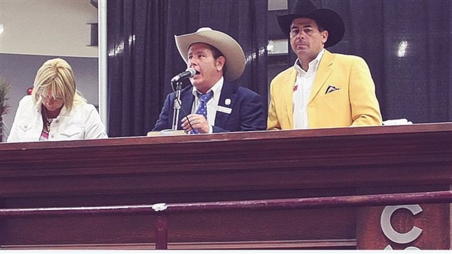 Livestock auctions are an important aspect of western life, and the Stampede hosts an international competition to determine an auctioneering champion.