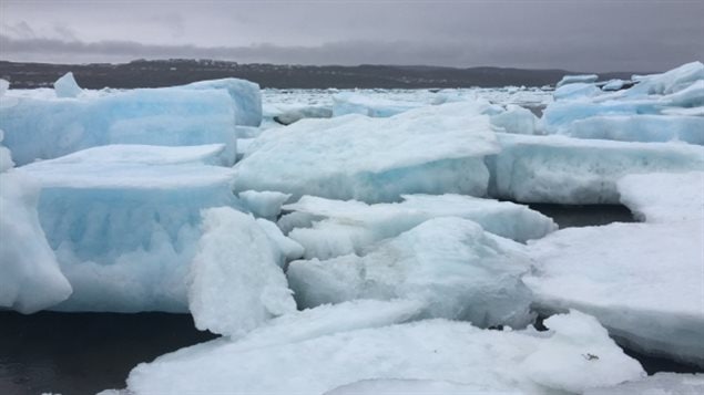 Climate change is dramatically affecting ice and other conditions in the Canadian Arctic.