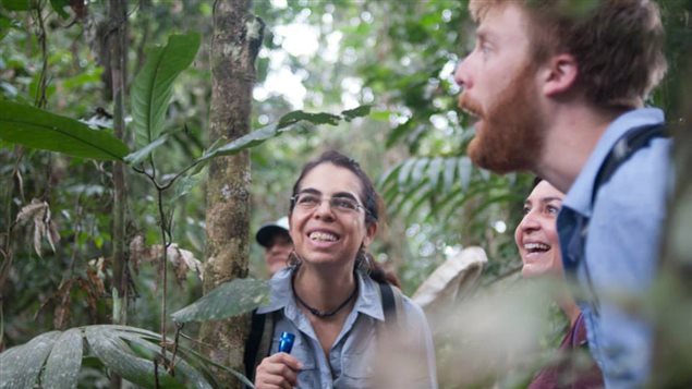 La selva tropical de Ecuador se prestó como territorio privilegiado para la investigación.