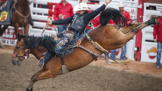 Zeke Thurston, of Big Valley, Alberta., rides Get Smart to win the saddle bronc rodeo finals for the third year in a row at the Calgary Stampede in Calgary, Alta., Sunday, July 16, 2017. 