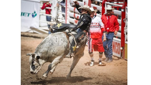The Stampede is a huge international event for visitors and competitors in all kinds of cowboy and farming events. Here Joao Ricardo Vieira, from Brazil, is bucked off during bull riding rodeo action , Sunday, July 9, 2017.