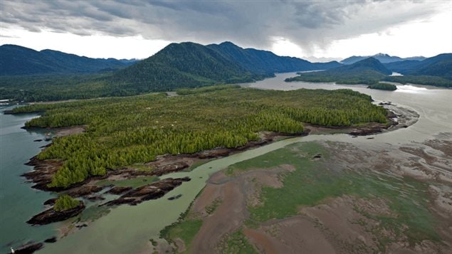 Lelu Island where Petronas wants to create a huge LNG port. Environmentalists say a cricial salmon area, while First Nations say it’s their territory and they haven’t been consulted.